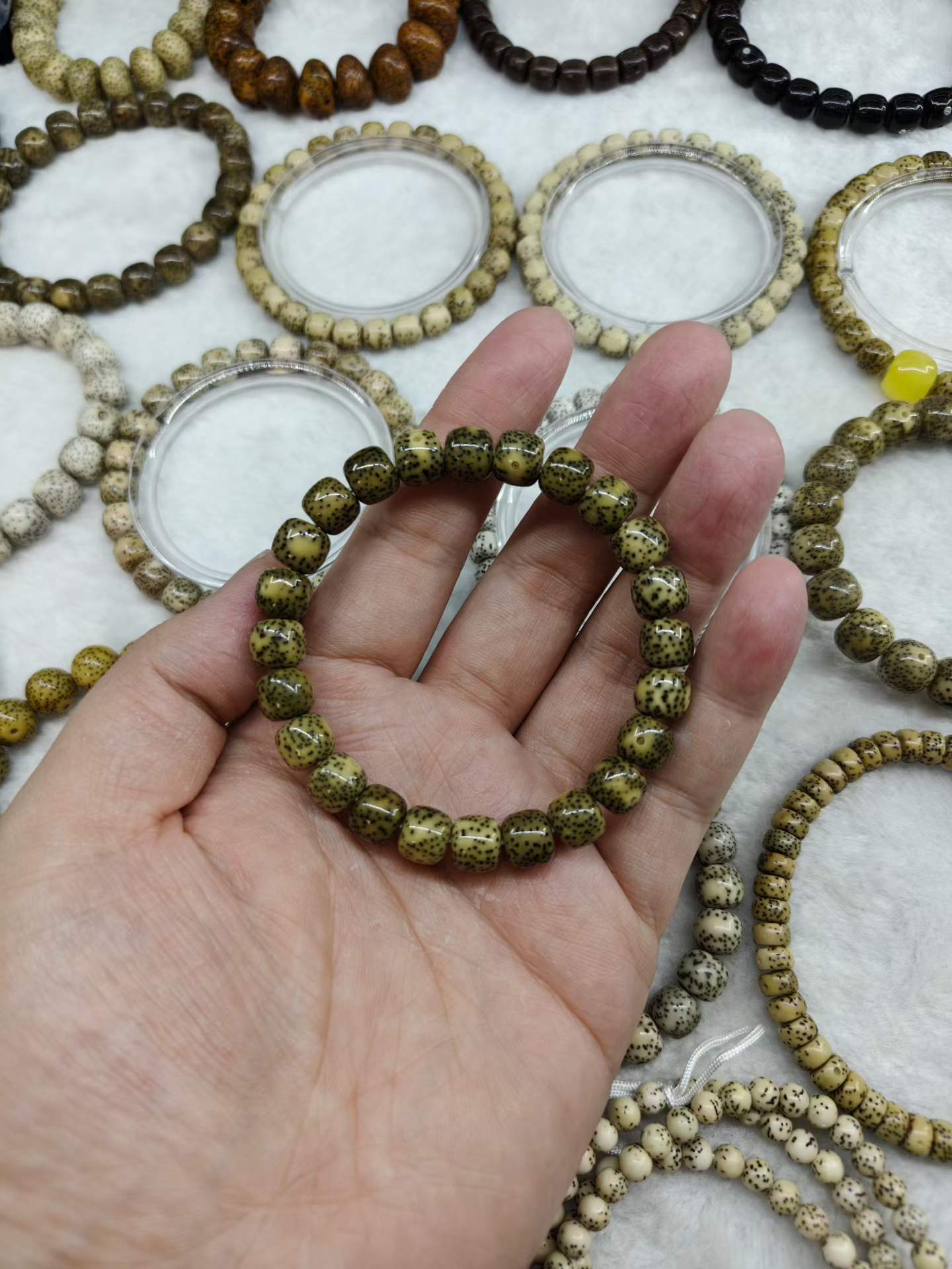 星月菩提